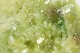 Lustrous Vesuvianite Crystal Cluster - Jeffrey Mine, Canada #284511-1